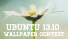Ubuntu 13.10 桌面壁纸大赛已经正式开赛