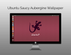 一组 Ubuntu13.10 “Ubuntu Saucy” 壁纸