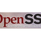 新的OpenSSL分支未包含Heartbleed漏洞，但需要认真看待