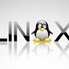最精简Linux Live CD版本:Minimal Linux Live