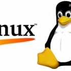 Linux slabtop命令——显示内核片缓存信息