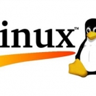 Linux 下 SSH 命令实例指南