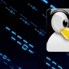 Linux有问必答：如何显示Linux网桥的MAC学习表