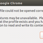 Linux有问必答:如何修复Chrome的&quot;Your profile could not be opened correctly&quot;