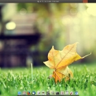在 Ubuntu14.10/Mint7 上安装 Gnome Flashback 经典桌面