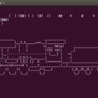 看这些孩子在 Ubuntu 的 Linux 终端下玩耍