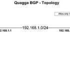 如何使用 Quagga BGP（边界网关协议）路由器来过滤 BGP 路由