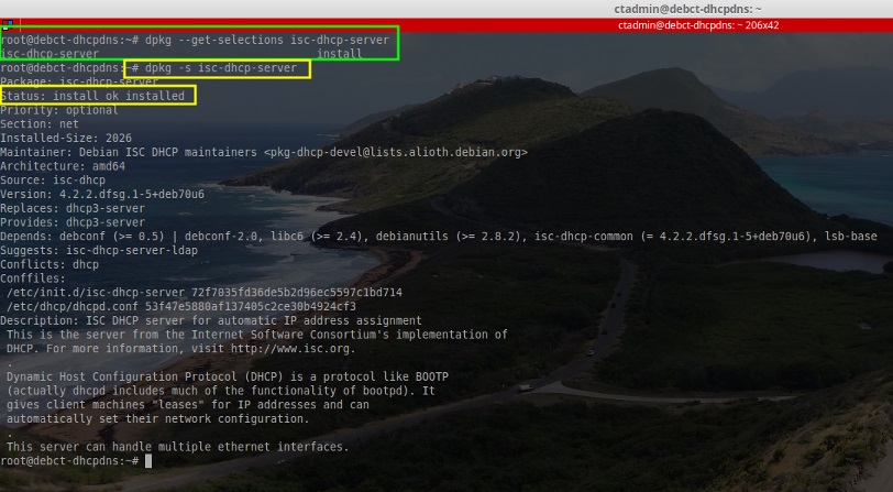Install ISC DHCP Server in Debian
