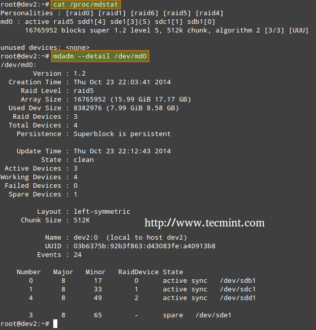 Check RAID Array Status