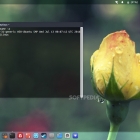 开源新闻速递：Linux Mint 发布 17.3 升级包