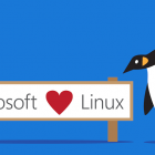 将真爱贯彻到底，微软加入 Linux 基金会