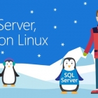微软发布 Linux 下的 SQL Server 公众预览版