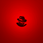 RHEL (Red Hat Enterprise Linux，红帽企业级 Linux) 7.3 安装指南