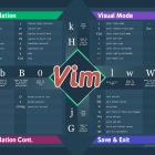 如何在 Vim 中进行文本选择操作和使用标志