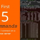 连接到 Linux 服务器时首先要运行的 5 个命令