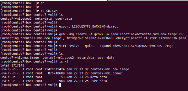 Set VM image disk size