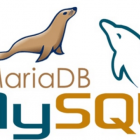 如何重置 MySQL 或 MariaDB 的 Root 密码