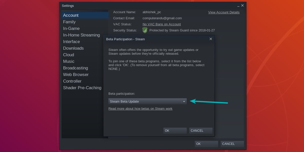 Enable beta feature in Steam Linux