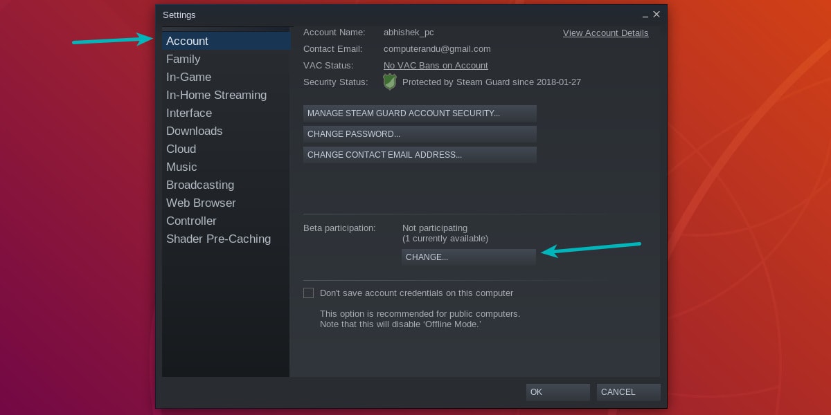 Enable beta feature in Steam Linux