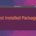 如何列出 Ubuntu 和 Debian 上已安装的软件包