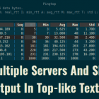 ping 多台服务器并在类似 top 的界面中显示