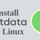 在 Linux 上安装 NetData 性能监控工具