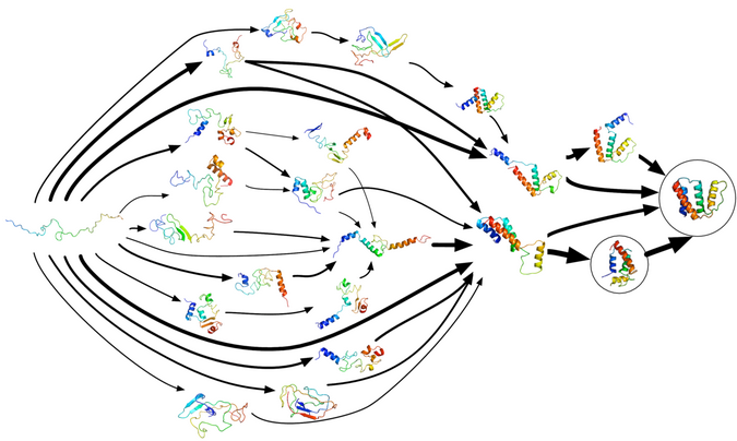 Markov state model