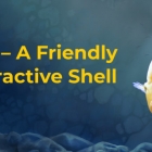 Fish：一个友好的交互式 Shell