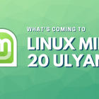 Linux Mint 20 发布前一窥