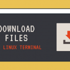 2 种从 Linux 终端下载文件的方法