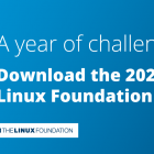下载 2020 年度 Linux 基金会年度报告