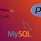 在 Ubuntu 中安装 Apache、MySQL、PHP（LAMP）套件