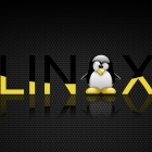 基础：在 Linux 终端中删除文件和文件夹