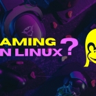 2021 年了，我们能推荐使用 Linux 来玩游戏吗？