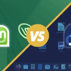 Linux Mint 和 Fedora：应该使用哪一个？