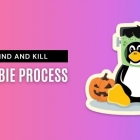 如何找到并杀掉 Linux 系统中的僵尸进程