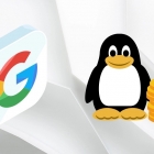 多达 5 万美元，谷歌将奖励利用 Linux 内核提权的安全专家