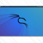 Kali Linux 2022.1 发布：引入了新的“全都有”离线 ISO