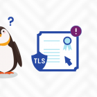 在 Linux 中解决 “Unacceptable TLS certificate” 的问题