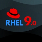 红帽宣布 RHEL 9：企业 IT 的下一代骨干系统