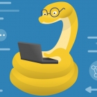 Thonny：在学校教授 Python 编程的理想 IDE