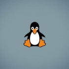 如何默认启动到 Linux 系统的旧内核