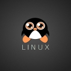12 个对新手最重要的 Linux 命令