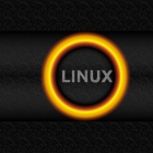 如何在 Linux 中确定运行的是那种初始化系统