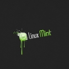 Linux Mint 升级工具使用指南
