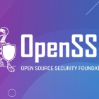 开源安全基金会（OpenSSF）：回顾和展望